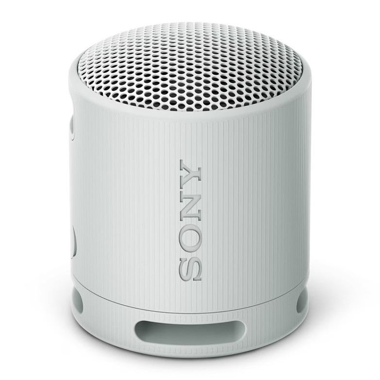 ALTAVOZ SONY SRS-XB100 WIRELESS GREY